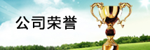 榮譽(yù)獎杯